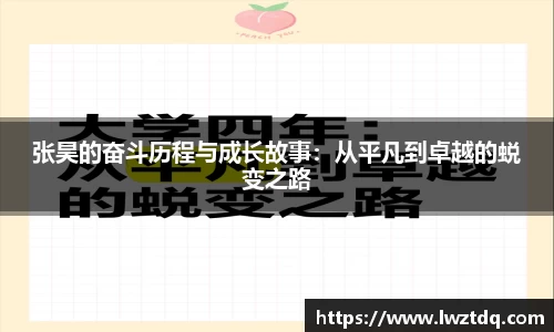 OB电竞平台
